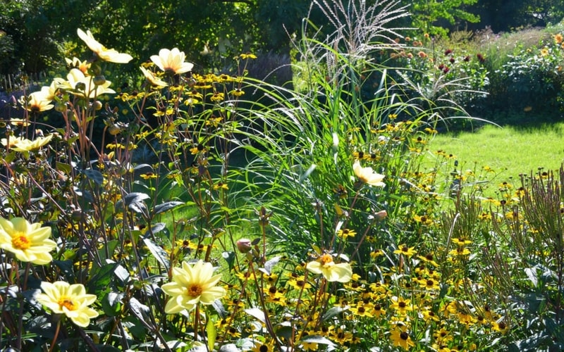 photographier le jardin