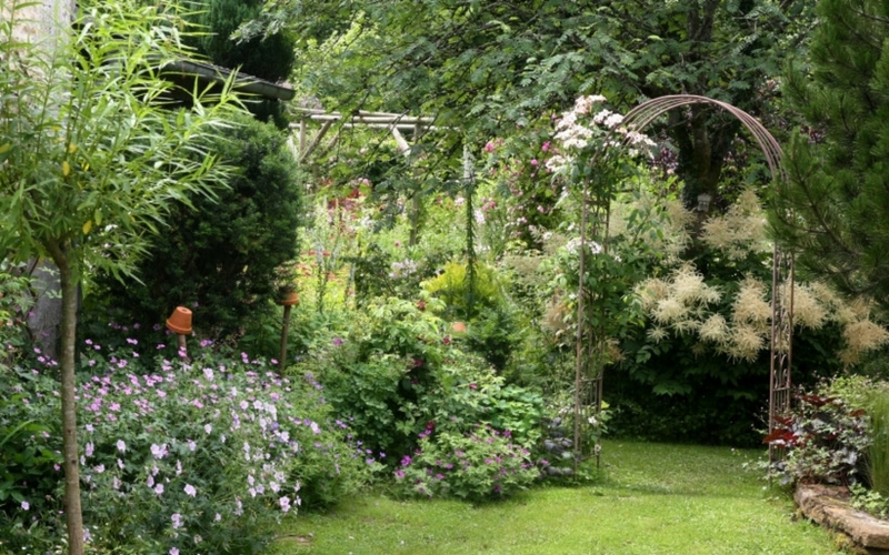 Jardin: des fleurs vite plantées, vite fleuries