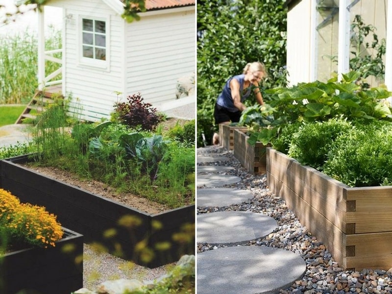 Potager: Bordures en palettes pour ma parcelle