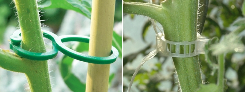 attaches pour pieds de tomates