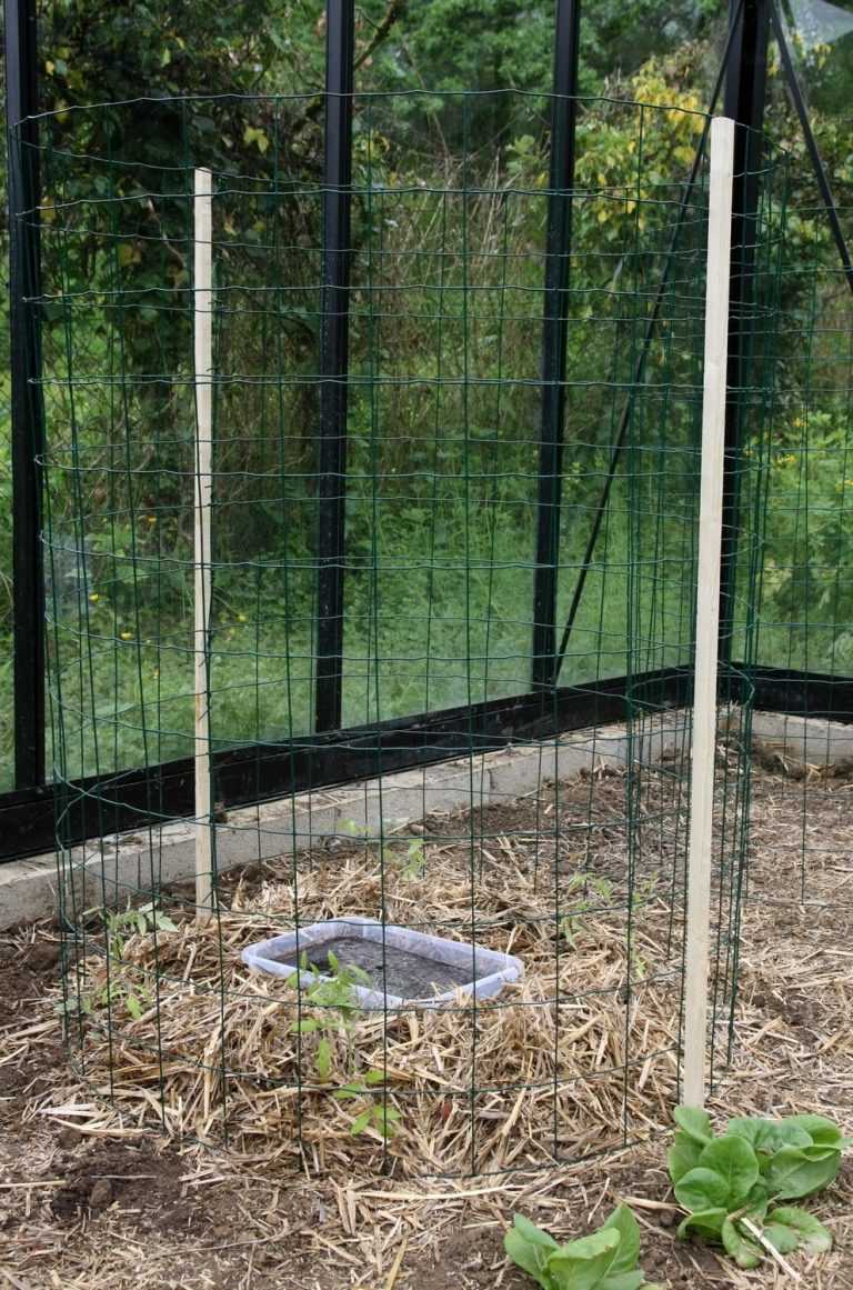 Tutoriel jardinage - Construire une cage à tomates
