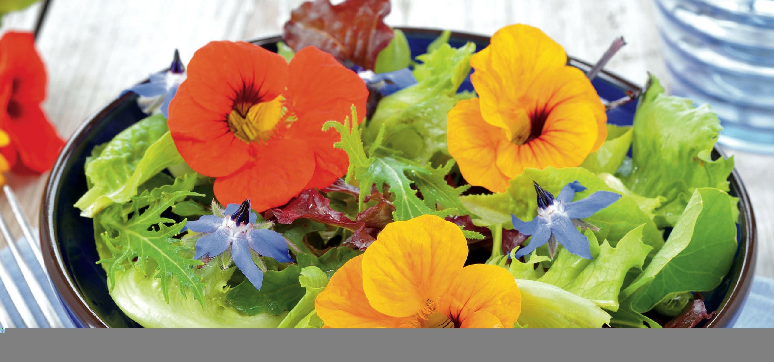 18 fleurs comestibles / Blog Promesse de fleurs