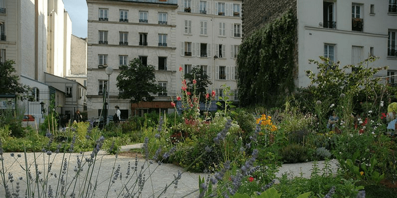 les jardins partagés : un lieu d'échange de connaissance