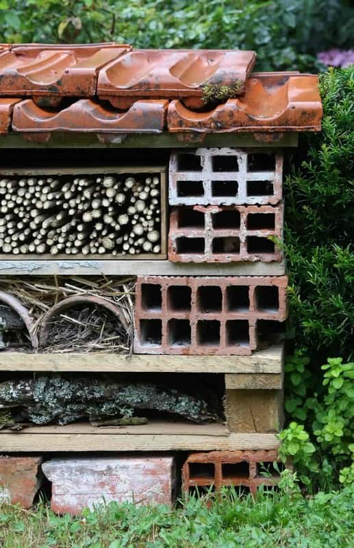 Tuto : un hôtel à insectes à fabriquer simplement avec une caisse