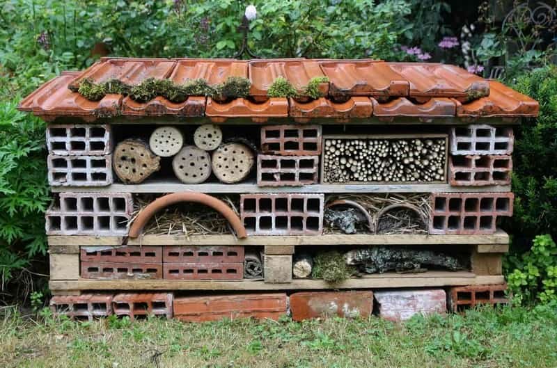 Construire un hôtel à insectes - Jardiner Autrement