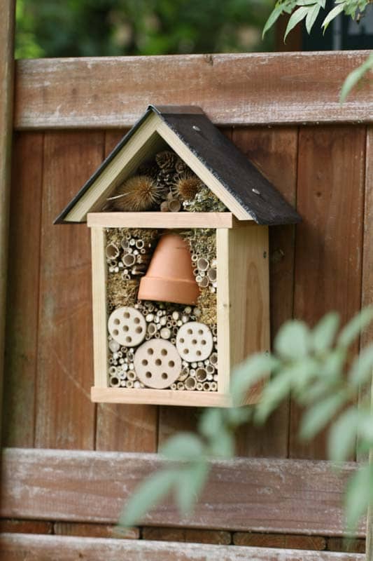 Stéphanie, créatrice d'hôtels à insectes beaux et accueillants