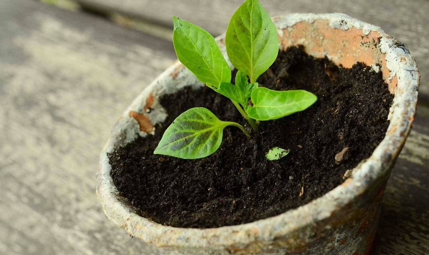 Pot De Fleurs Hydroponique En Plastique Épais, Pour Culture De Sol