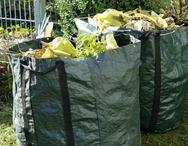 Zéro déchet (ou presque) au jardin, c'est possible !