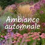 Ambiance automnale