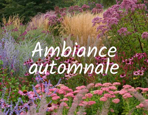 Ambiance automnale