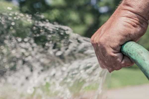 Restriction d'eau et arrosage, comment gérer la crise au jardin ?