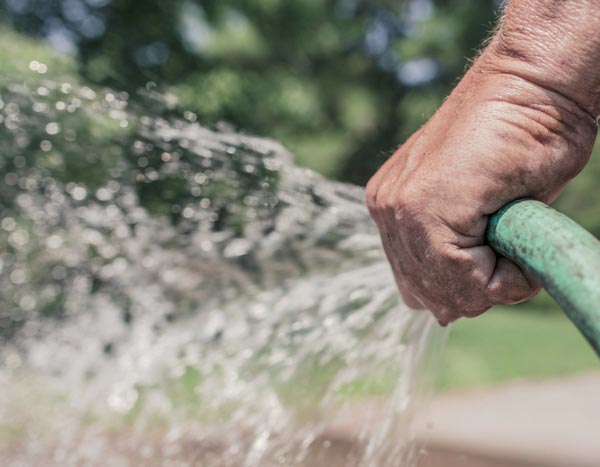 Restriction d'eau et arrosage, comment gérer la crise au jardin ?