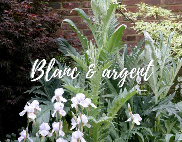 Le jardin blanc argenté, l'élégance chic !