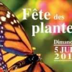 Fête des Plantes de Cardroc (35)