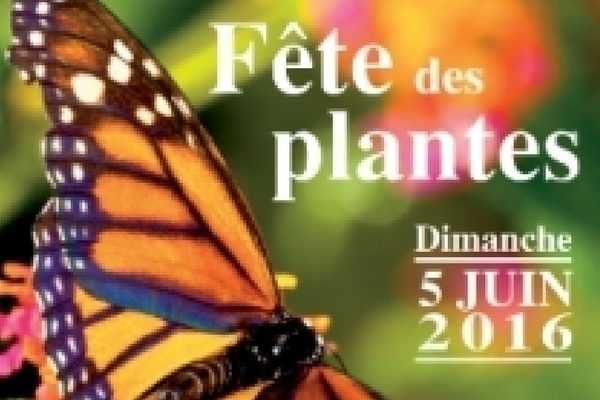 Fête des Plantes de Cardroc (35)