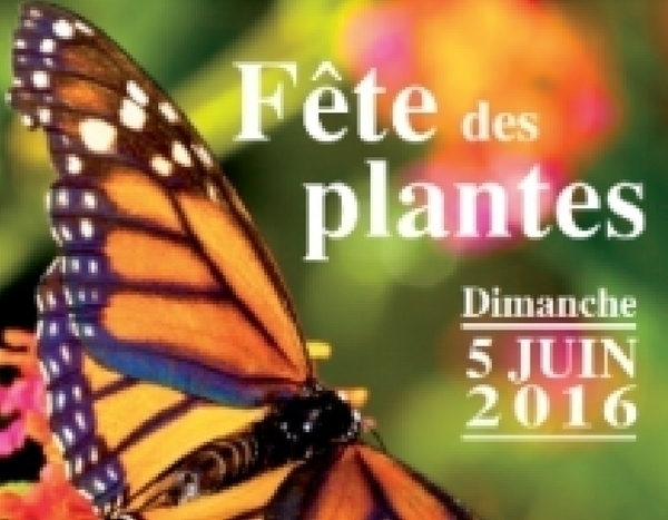 Fête des Plantes de Cardroc (35)