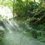 Visite au festival des jardins de Chaumont-sur-Loire