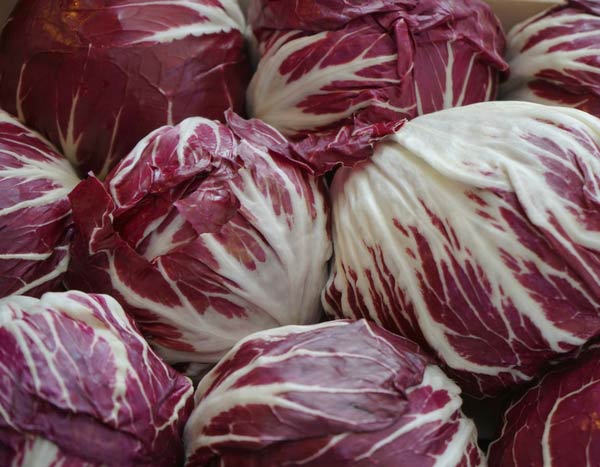 Jardin : la chicorée sauvage, une salade toute saison 