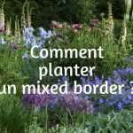 Comment planter un Mixed border ?