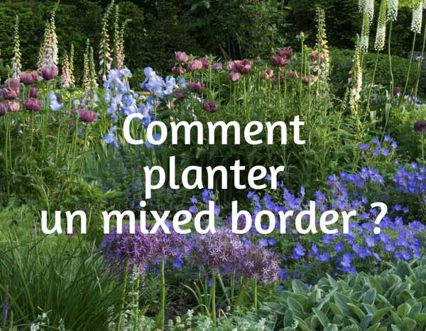 Comment planter un Mixed border ?