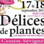 Délices de Plantes 2016 à Cesson-Sévigné