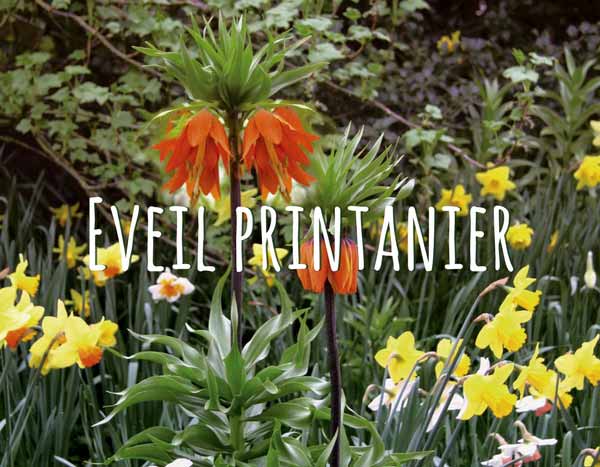 Éveil printanier, Bulbes
