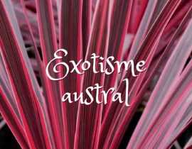 Exotisme Austral