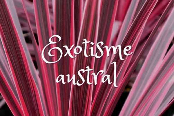 Exotisme Austral