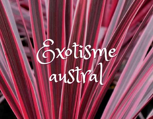 Exotisme Austral