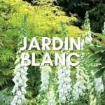 Inspiration jardin blanc