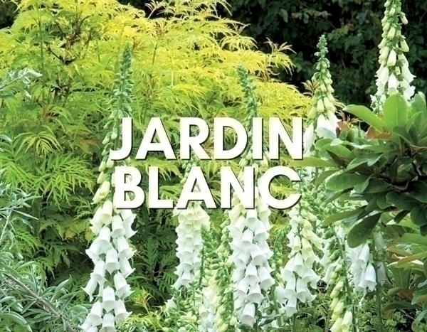 Inspiration jardin blanc