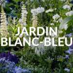 Jardin blanc bleu