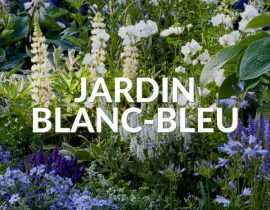 Jardin blanc bleu