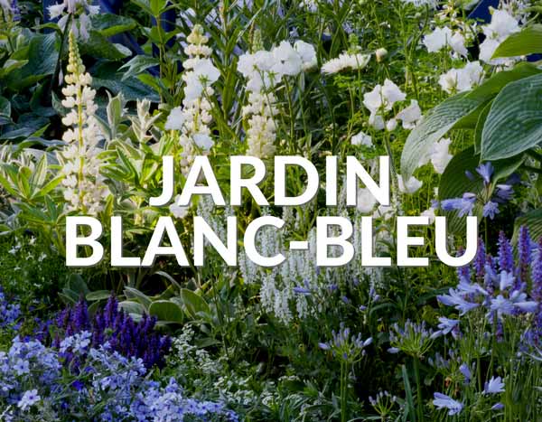 Jardin blanc bleu