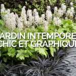 Jardin Intemporel Chic & Graphique