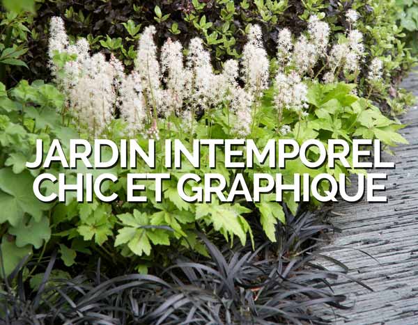 Jardin Intemporel Chic & Graphique