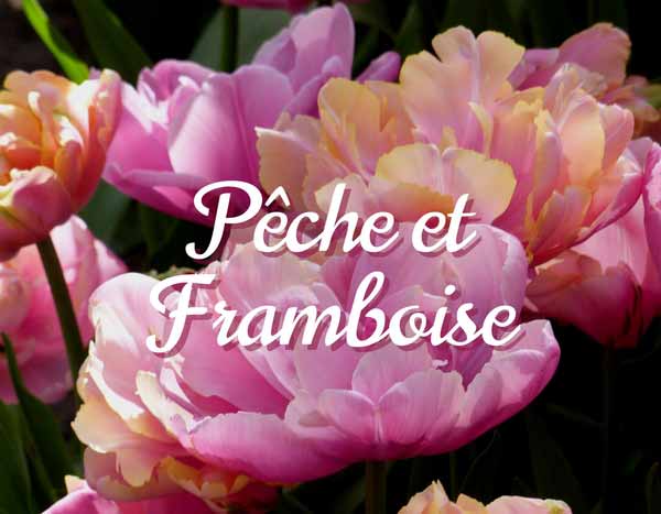 Inspiration Pêche Framboise