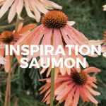 Inspiration Saumon