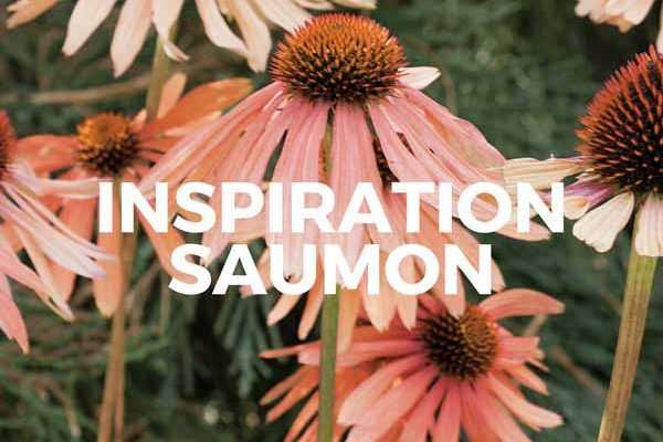 Inspiration Saumon