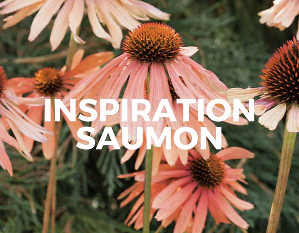 Inspiration Saumon