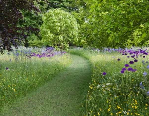 Jardin sans entretien : conseils, astuces et plantes adaptées