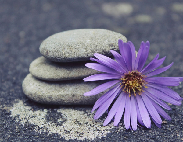 Le jardinage : une thérapie anti-stress efficace