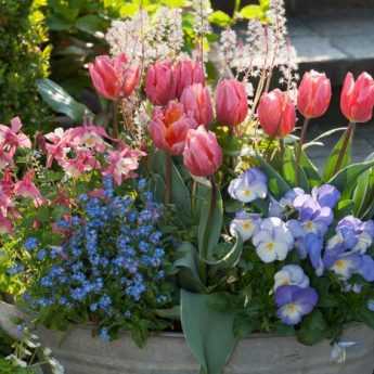 Jardinières de printemps : composez-les en septembre/octobre... remerciez-nous en mars !