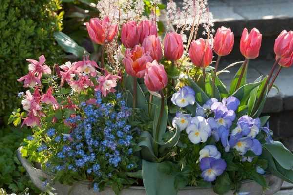 Jardinières de printemps : composez-les en septembre/octobre... remerciez-nous en mars !