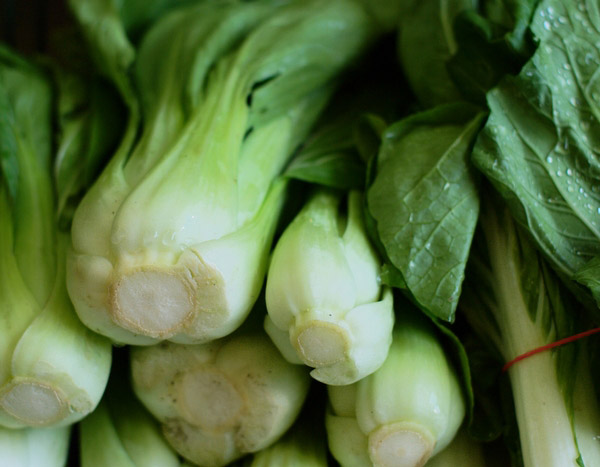 7 légumes asiatiques à cultiver au potager