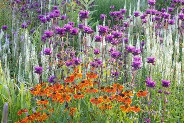 Massif de fleurs : variez et mixez les formes !