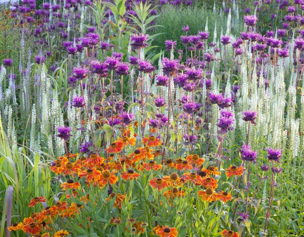 Massif de fleurs : variez et mixez les formes !