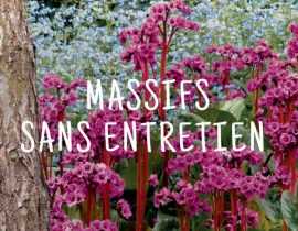 Constituer des massifs sans entretien