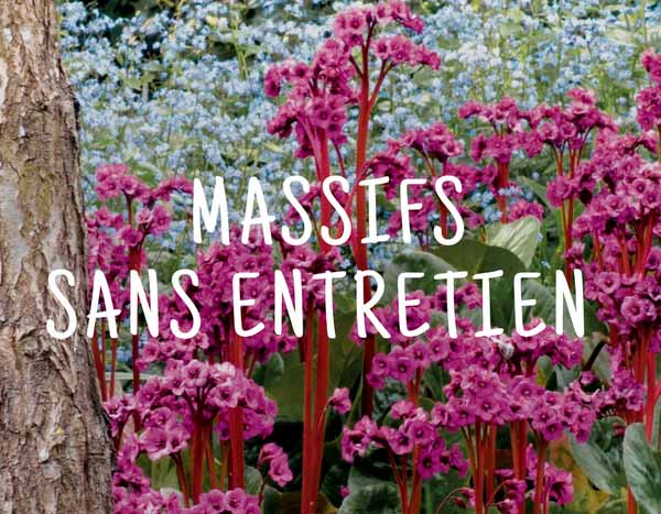 Constituer des massifs sans entretien