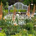 Mixed Border coloré